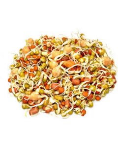 SPROUTS MIX 120GM